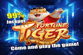 BetFury ပလက်ဖောင်း Myanmar online gaming အတွေ့အကြုံ